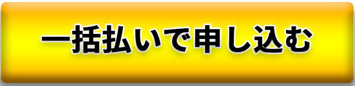 一括でのお支払